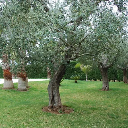 Bed & Breakfast Vittoria