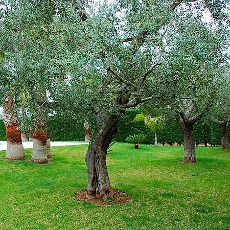 Vittoria 4* מאלייה