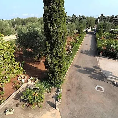 Vittoria 4* Maglie